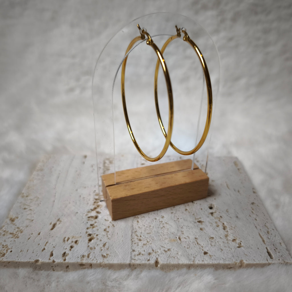 Boucle d'oreilles EVE