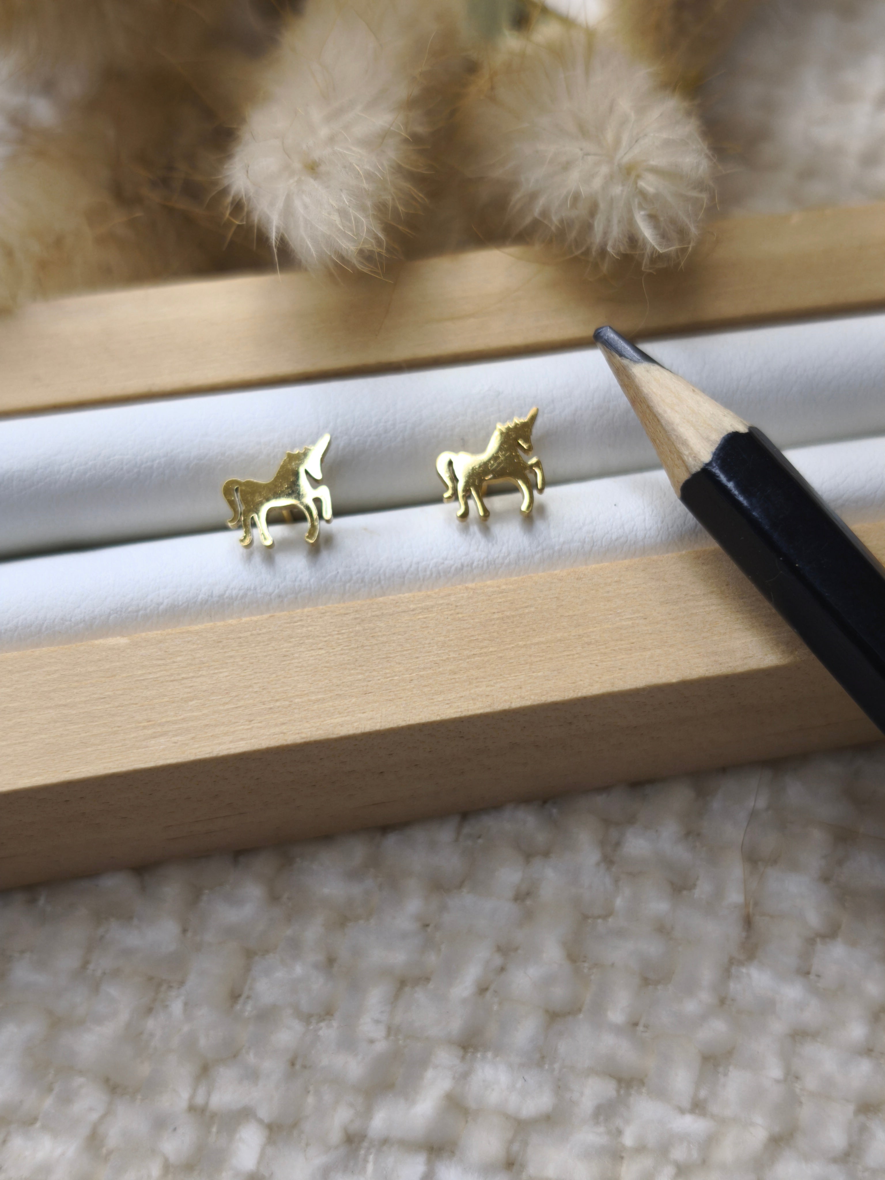 Boucles d'oreilles (puces)