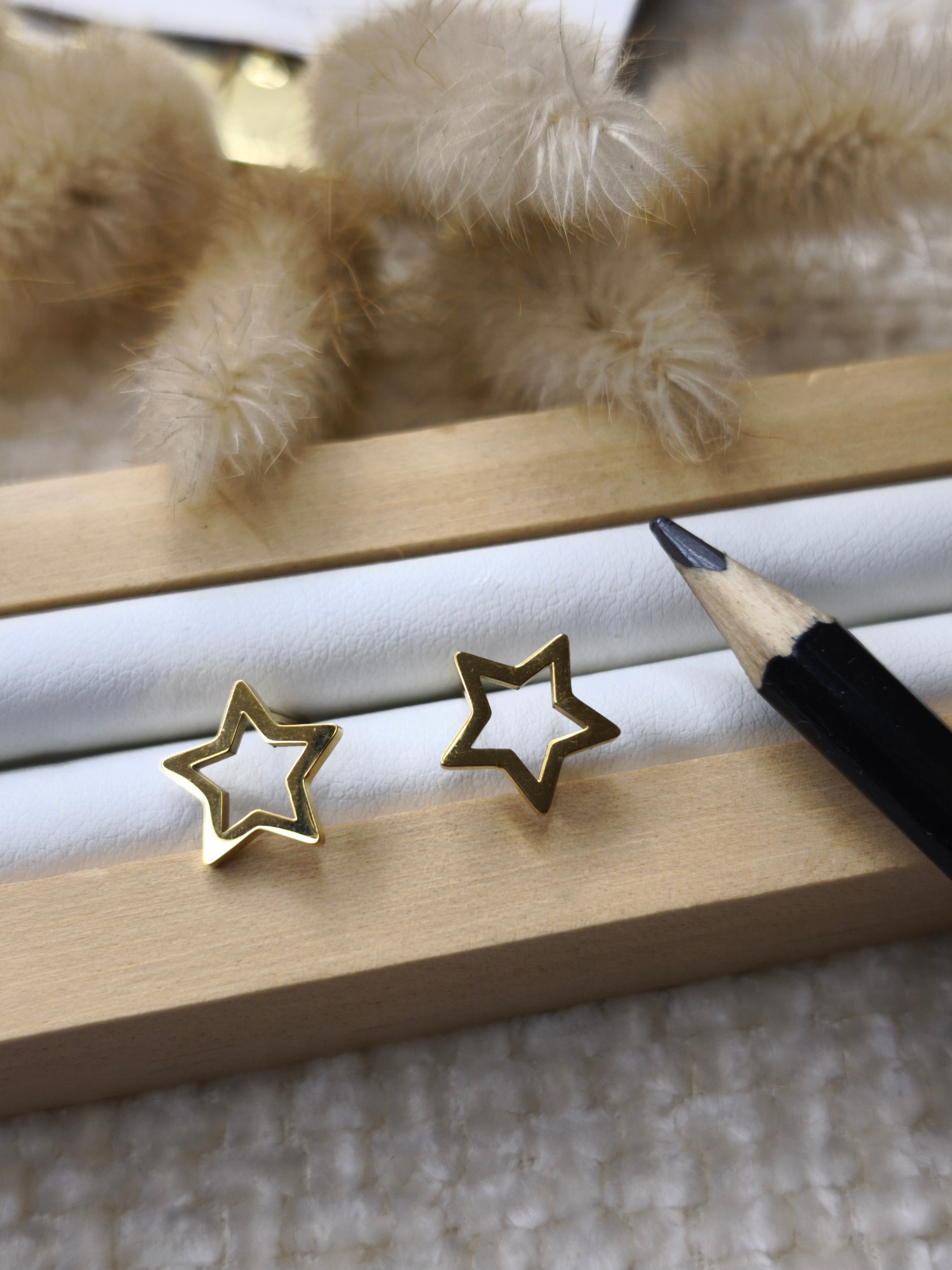 Boucles d'oreilles (puces)