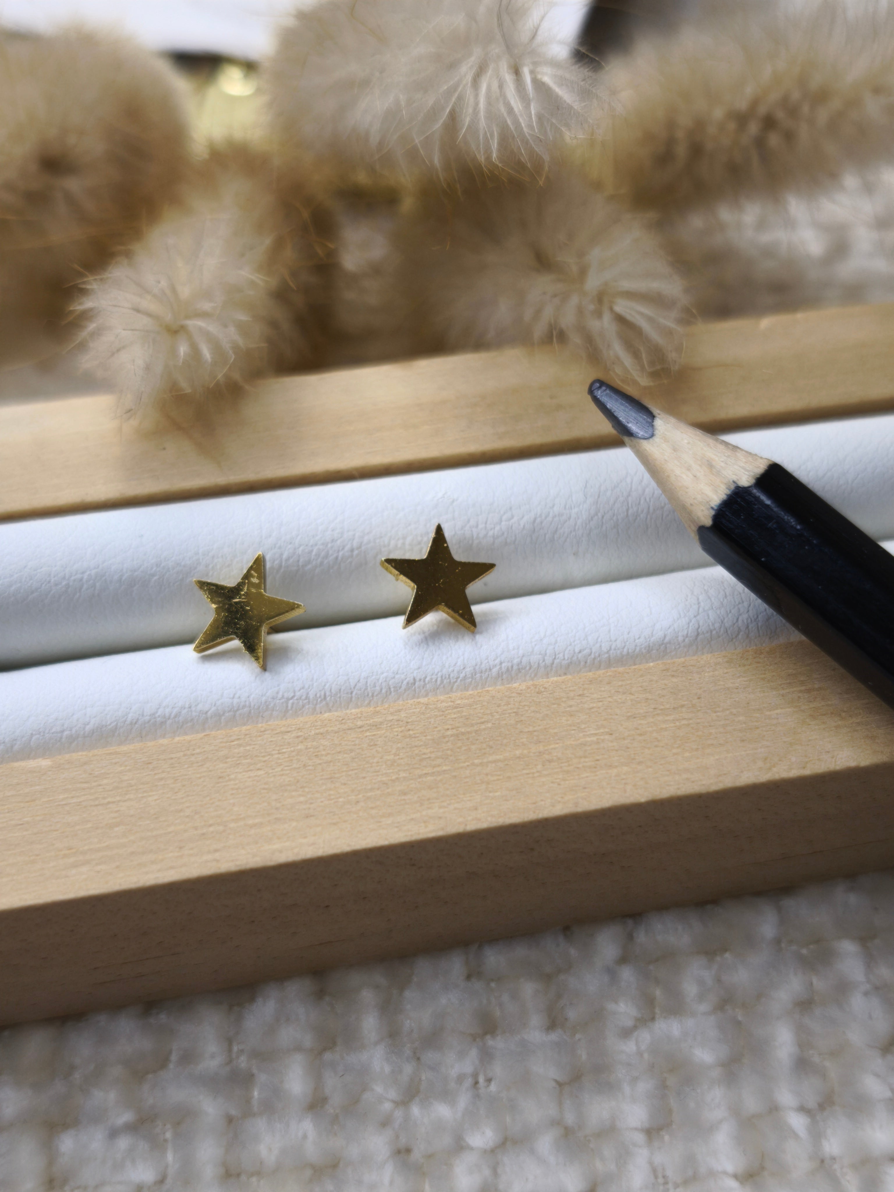 Boucles d'oreilles (puces)